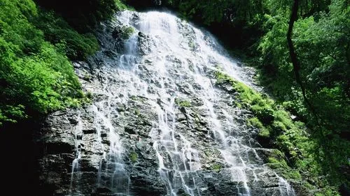 精密高端